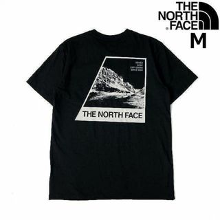 ザノースフェイス(THE NORTH FACE)のノースフェイス 半袖 Tシャツ US限定 グラフィック(M)黒 180902(Tシャツ/カットソー(半袖/袖なし))