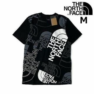 ザノースフェイス(THE NORTH FACE)のノースフェイス 半袖 Tシャツ US限定 グラフィック(M)黒 180902(Tシャツ/カットソー(半袖/袖なし))