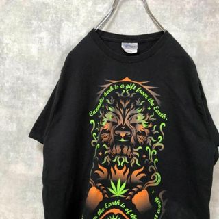 Cannabis 魔法使い 目 US輸入 雰囲気 ビック Tシャツ(シャツ/ブラウス(半袖/袖なし))