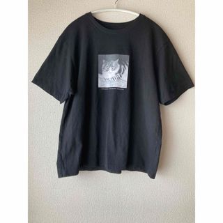 ユニクロ(UNIQLO)のユニクロUT   猫Tシャツ　ブラック(Tシャツ(半袖/袖なし))