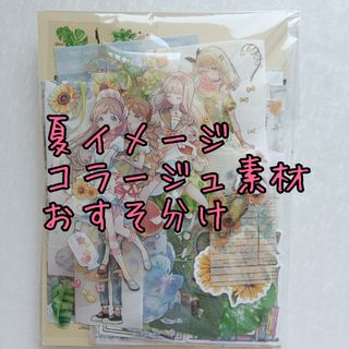 紙モノおすそ分け　夏イメージ　コラージュ素材　まとめ売り(シール)