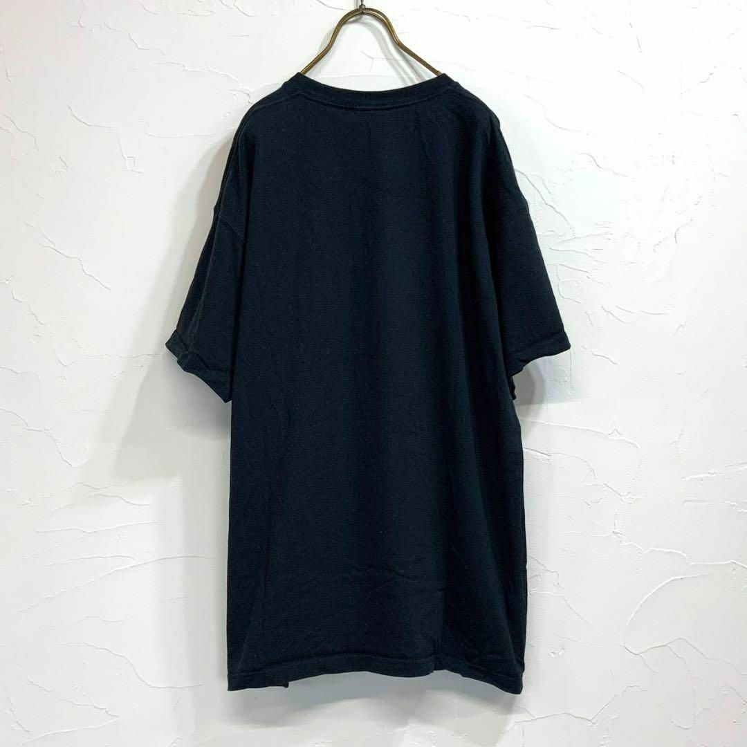 美品 NIKE ACG 旧ロゴ 同色刺繍 半袖 tシャツ メンズのトップス(Tシャツ/カットソー(半袖/袖なし))の商品写真