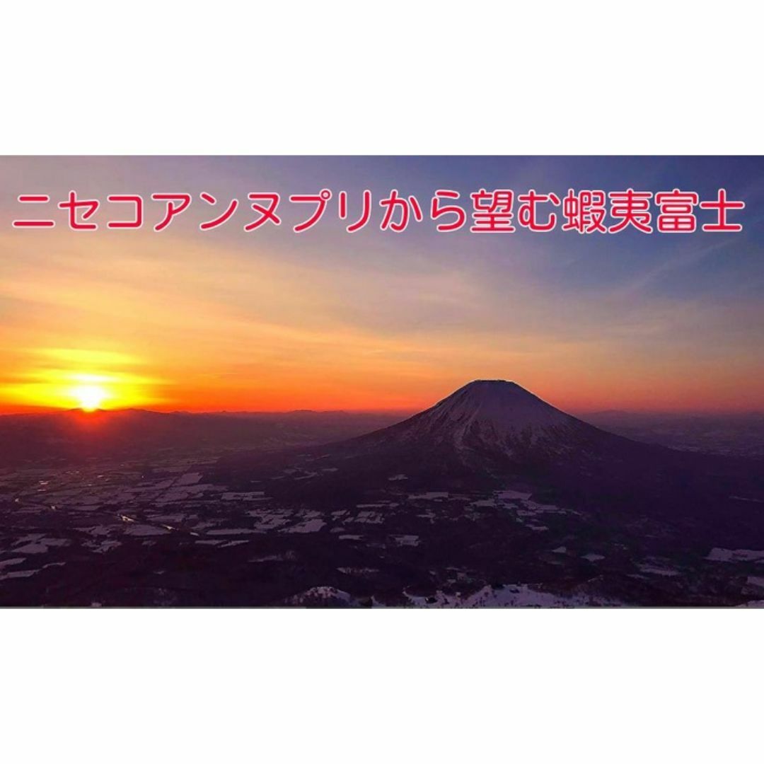 ☆北海道　ニセコ産根曲がり竹  タケノコ　姫竹 朝採り3キロ　送料無料☆０１ 食品/飲料/酒の食品(野菜)の商品写真