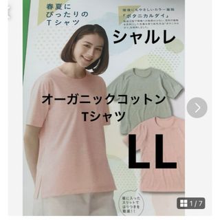 シャルレ(シャルレ)のシャルレ　オーガニックコットンTシャツ　L L(Tシャツ(半袖/袖なし))