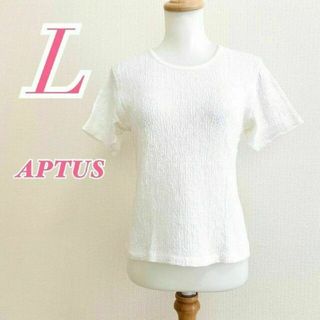 APTUS アプタス L 半袖カットソー シワ加工 夏 ホワイト 白 きれいめ(カットソー(半袖/袖なし))