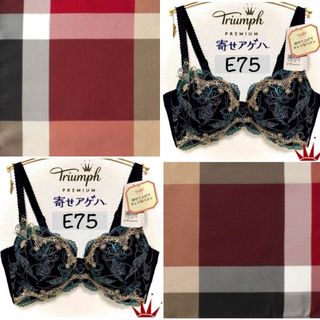 トリンプ(Triumph)のE75 トリンプ  寄せアゲハ ブラ単品 Black(ブラ)