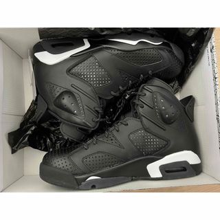 ナイキ(NIKE)のNIKE AIR JORDAN 6 RETRO BLACK CAT (スニーカー)