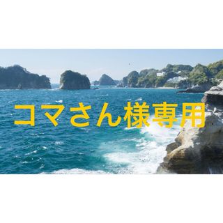 コマさん様専用(乾物)