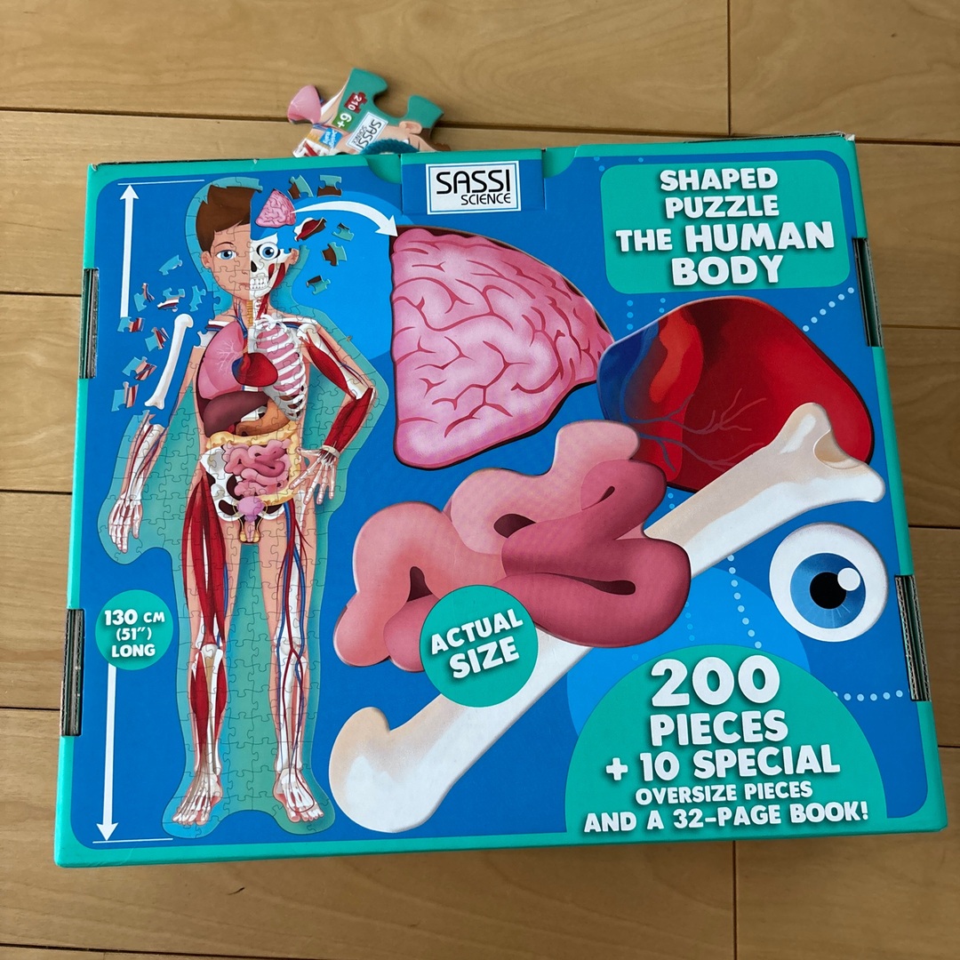 SASSI SCIENCE THE HUMAN BODY パズル　美品 キッズ/ベビー/マタニティのおもちゃ(知育玩具)の商品写真