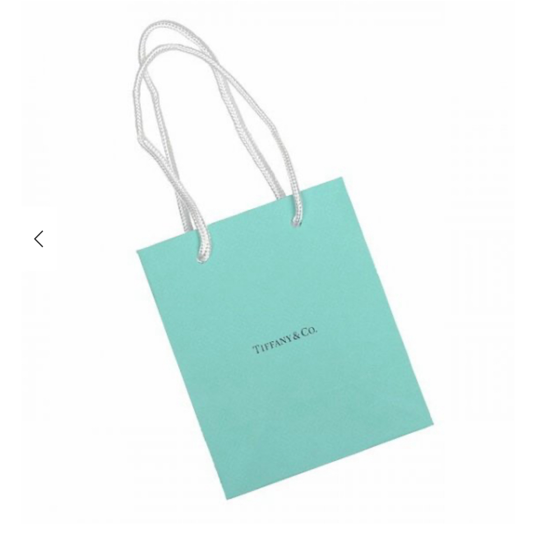 Tiffany & Co.(ティファニー)のティファニー　ショッパー　新品 レディースのバッグ(ショップ袋)の商品写真