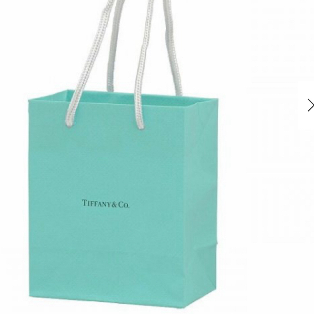 Tiffany & Co.(ティファニー)のティファニー　ショッパー　新品 レディースのバッグ(ショップ袋)の商品写真