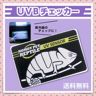 紫外線チェッカー UVBチェッカー 紫外線テスター 爬虫類ランプ 太陽光 カード(爬虫類/両生類用品)