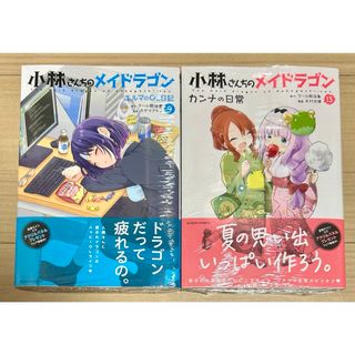 小林さんちのメイドラゴン カンナの日常 13巻　エルマのOL日記　9巻(青年漫画)