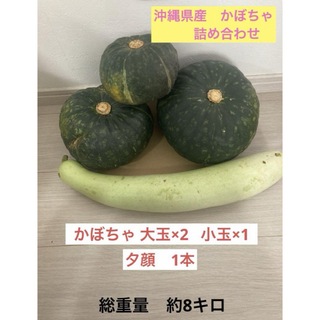 沖縄県産　かぼちゃ　野菜　詰め合わせ(野菜)