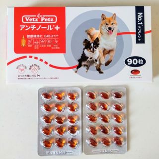 アンチノール プラス 30粒 + 犬 サプリメント(犬)