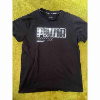 プーマ(PUMA)のPUMA キッズ　半袖Ｔシャツ　Ｔシャツ　150センチ(Tシャツ/カットソー)