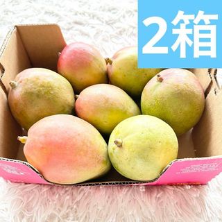 【2箱】　コストコ　アップルマンゴー　2.5kg×2箱