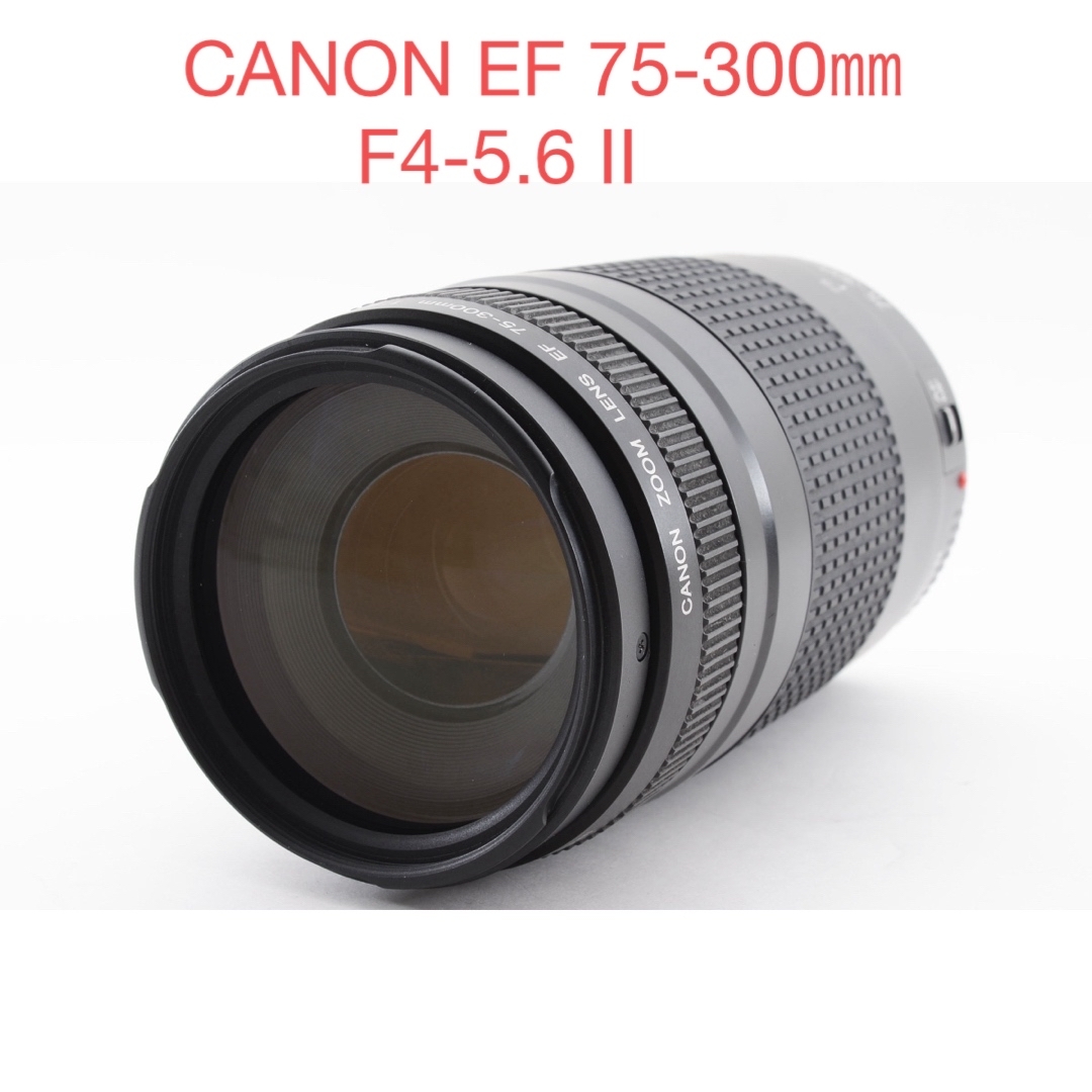 極上品/キャノン CANON EF 75-300mm F4-5.6 II スマホ/家電/カメラのカメラ(レンズ(ズーム))の商品写真