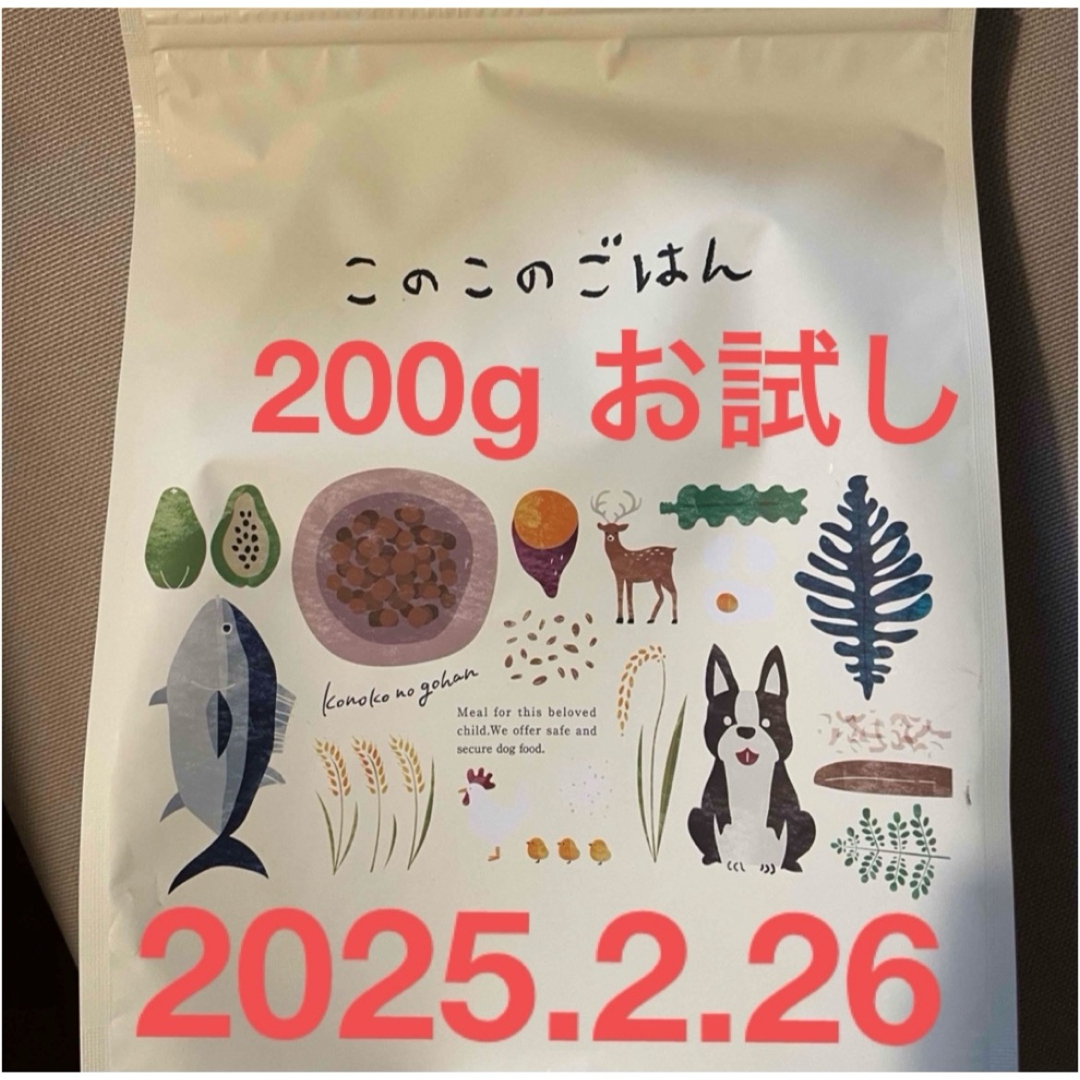 このこのごはん 200g お試し その他のペット用品(ペットフード)の商品写真