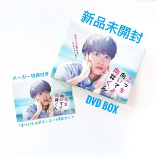 新品未開封　赤楚衛二　主演　こっち向いてよ向井くん DVD BOX  特典付き(TVドラマ)