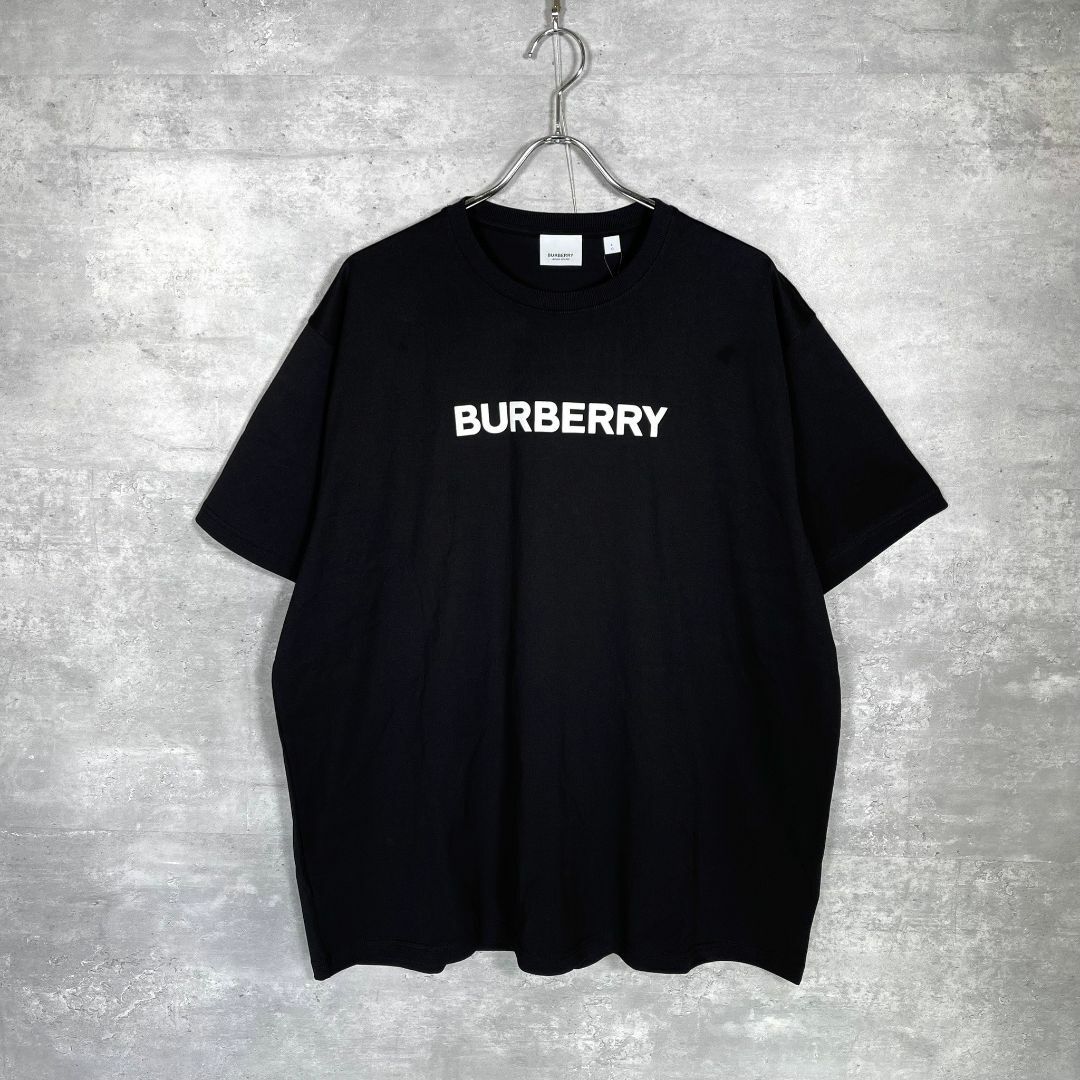 BURBERRY(バーバリー)の『BURBERRY』バーバリー (L) ロゴ コットン Tシャツ メンズのトップス(Tシャツ/カットソー(半袖/袖なし))の商品写真