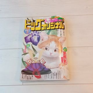 ビッグコミックオリジナル 増刊号 2024年 5/12号 [雑誌]