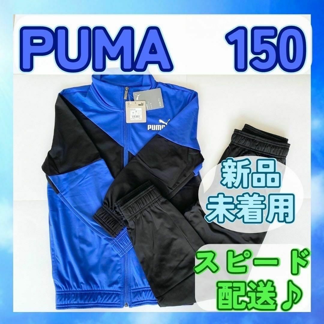 PUMA(プーマ)の【新品未着用】PUMA プーマ ジャージ上下 150 ロイヤル キッズ/ベビー/マタニティのキッズ服男の子用(90cm~)(その他)の商品写真