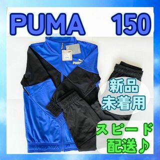 プーマ(PUMA)の【新品未着用】PUMA プーマ ジャージ上下 150 ロイヤル(その他)