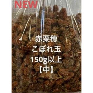 小鳥のおやつ　　赤粟穂　こぼれ玉　150g以上　即購入可◎(鳥)