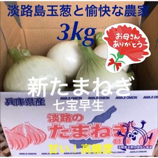 淡路島産 新玉ねぎ 七宝早生 3kg 高糖度 新玉ねぎ新玉ねぎ  新たまねぎ