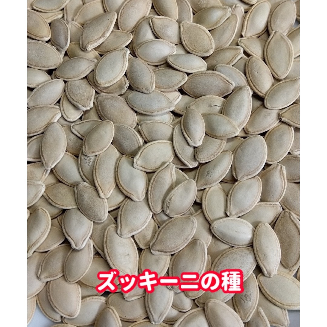 ズッキーニの種【20粒以上】★令和5年産・無農薬栽培の種 食品/飲料/酒の食品(野菜)の商品写真