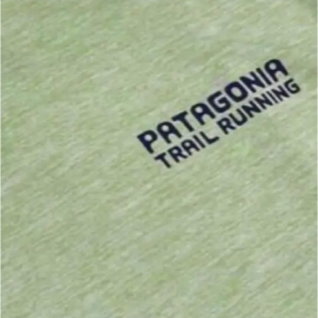 patagonia(パタゴニア)の⭐️大人気⭐️patagonia キャプリーン クール Tシャツ⭐️速乾⭐️ メンズのトップス(Tシャツ/カットソー(半袖/袖なし))の商品写真