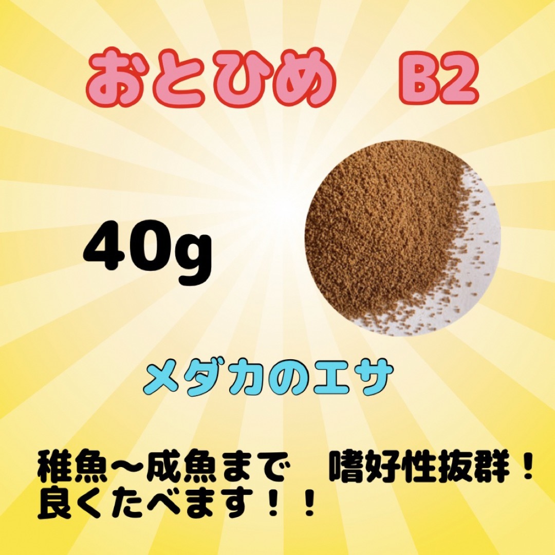 おとひめB2 メダカのエサ　40g その他のペット用品(アクアリウム)の商品写真