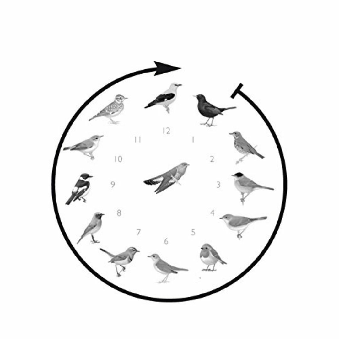 【色: Grey】KOOKOO （クークー）ウルトラ フラット モダンなデザイン インテリア/住まい/日用品のインテリア小物(置時計)の商品写真