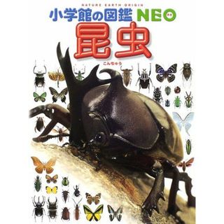 小学館の図鑑NEO 昆虫 啓一，小池、 龍一郎，町田、 信夫，森上、 展嗣，小野、 力，田辺; 学，筒井(語学/参考書)