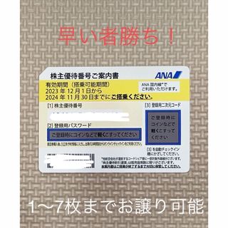 エーエヌエー(ゼンニッポンクウユ)(ANA(全日本空輸))のANA株主優待航空券(航空券)