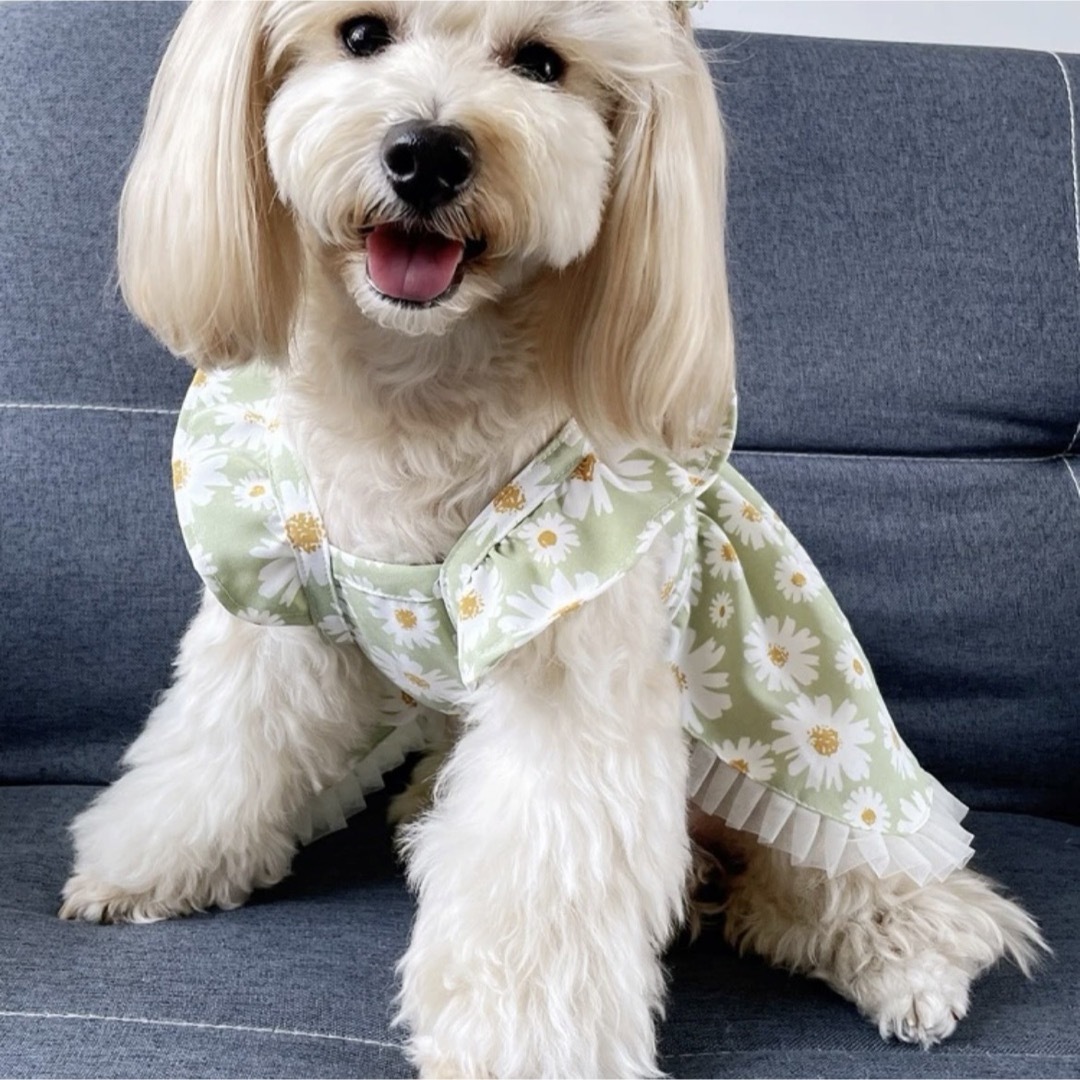 犬服　犬の服　ドッグウェア　ワンピース　S  花柄　小型犬　可愛い　フリル　春 その他のペット用品(犬)の商品写真