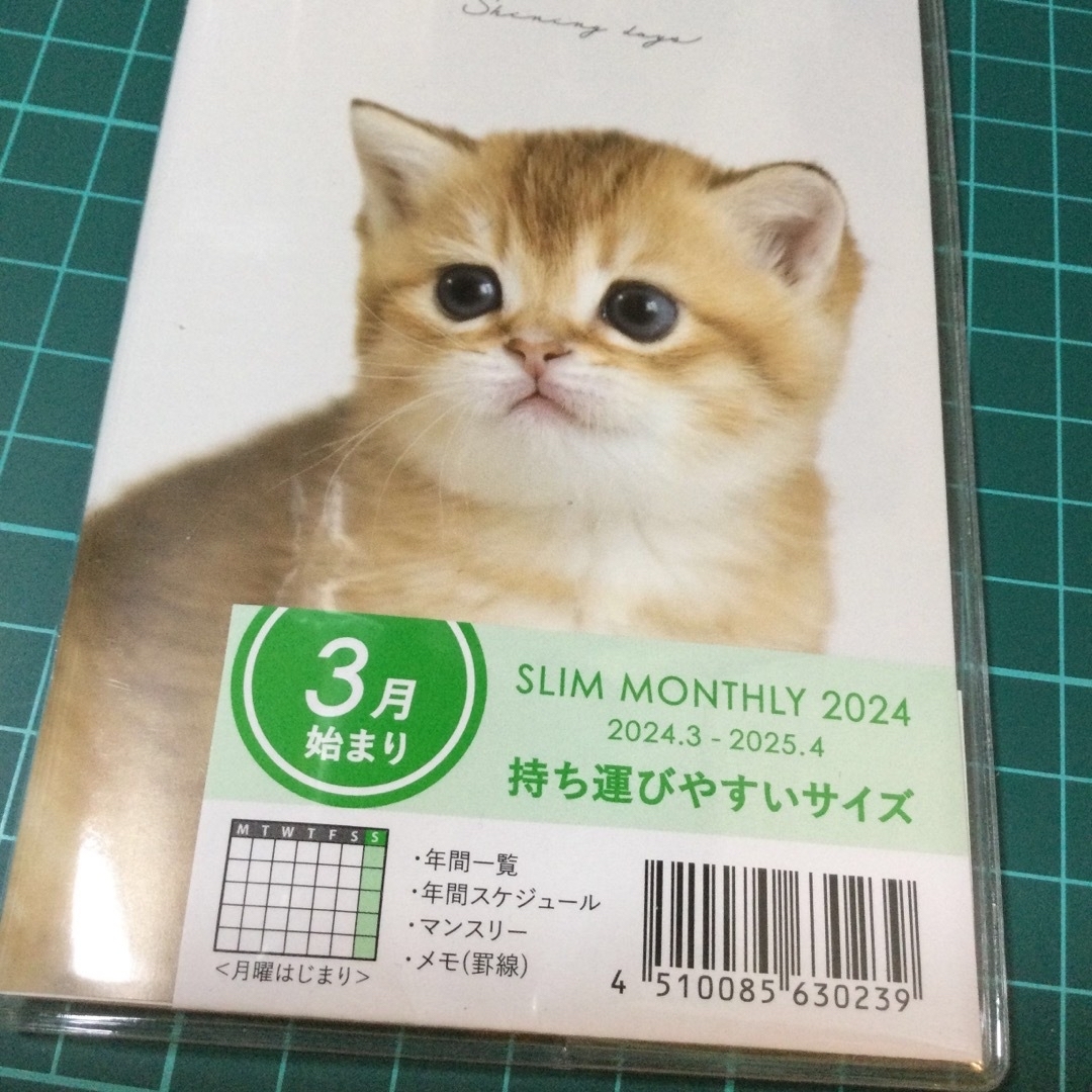 【新品】匿名送料無料　２０２４　３月はじまり　月間スケジュール帳　猫 インテリア/住まい/日用品の文房具(カレンダー/スケジュール)の商品写真