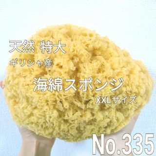 天然 特大！ 海綿スポンジ ギリシャ産 グラス種 XXLサイズ No.335(バスグッズ)