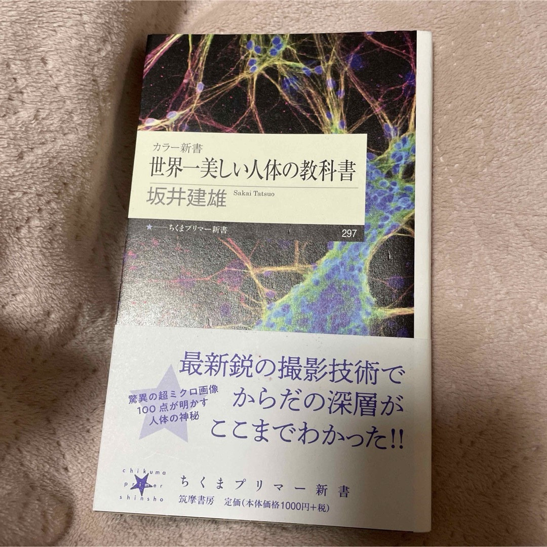 世界一美しい人体の教科書 エンタメ/ホビーの本(その他)の商品写真