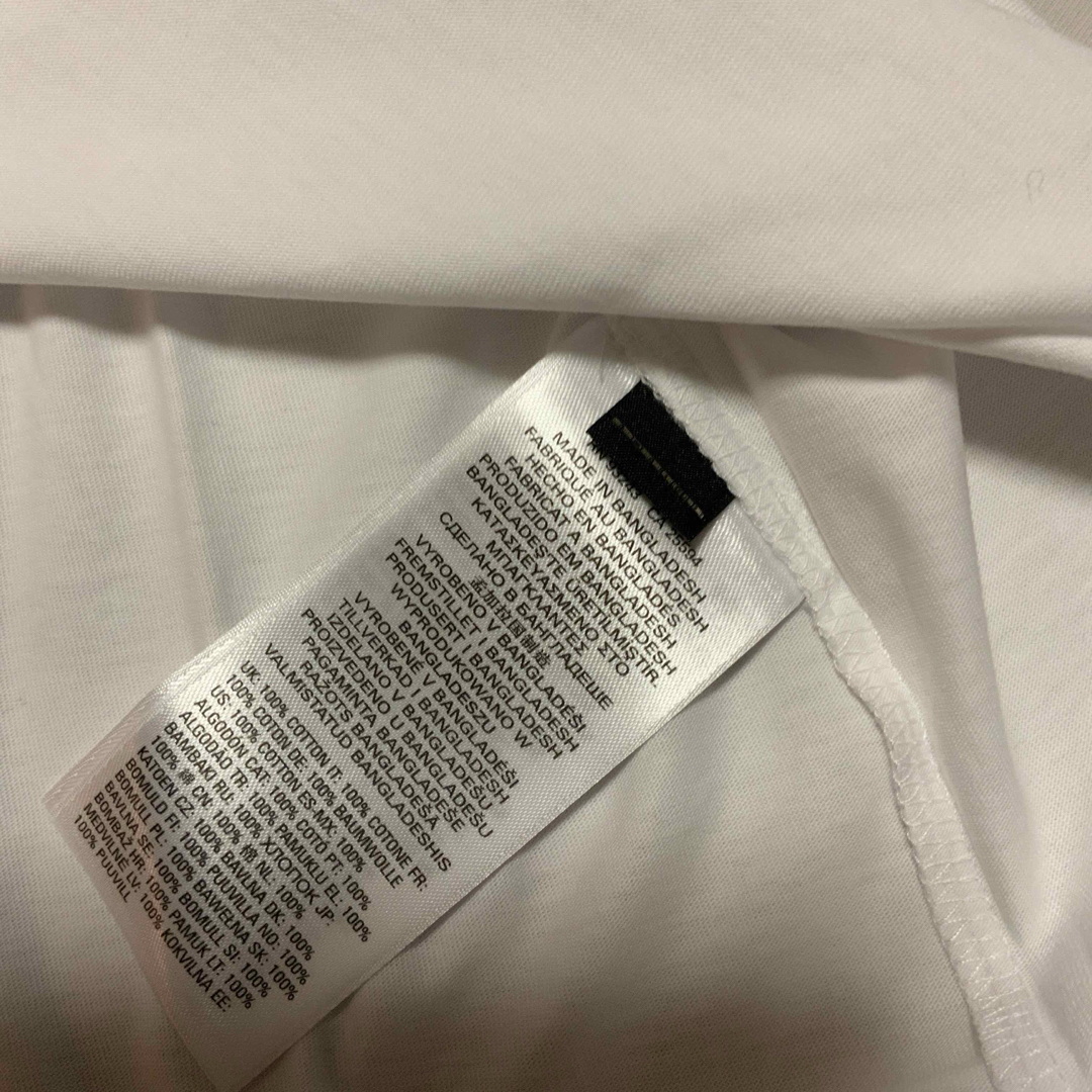 DIESEL(ディーゼル)の洗練されたデザイン　T-Reg-Div Tシャツ DIESELロゴ　ホワイト　L レディースのトップス(Tシャツ(半袖/袖なし))の商品写真