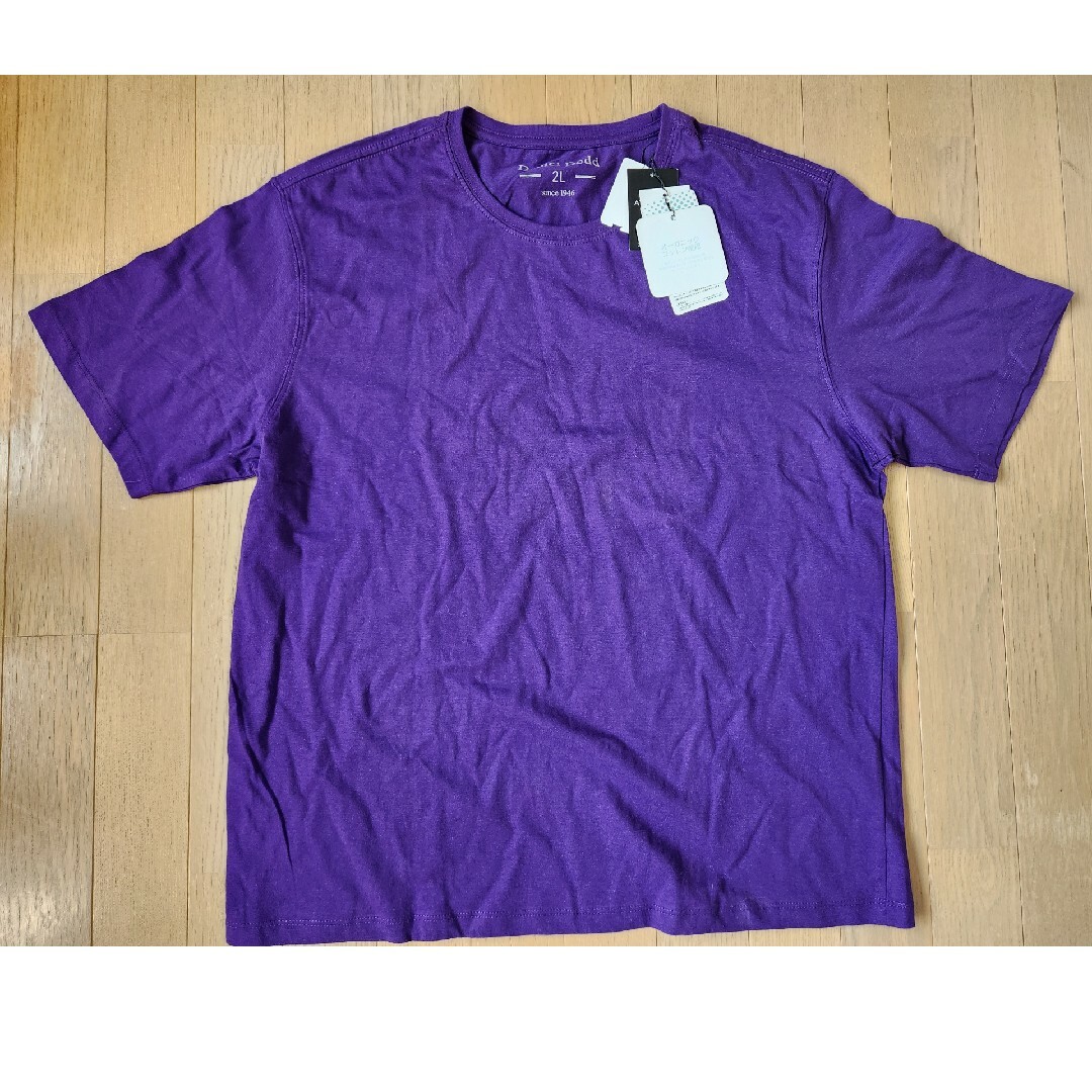 DANIEL DODD(ダニエルドッド)のDaniel  Dodd メンズTシャツ　2L消臭効果機能あり メンズのトップス(Tシャツ/カットソー(半袖/袖なし))の商品写真
