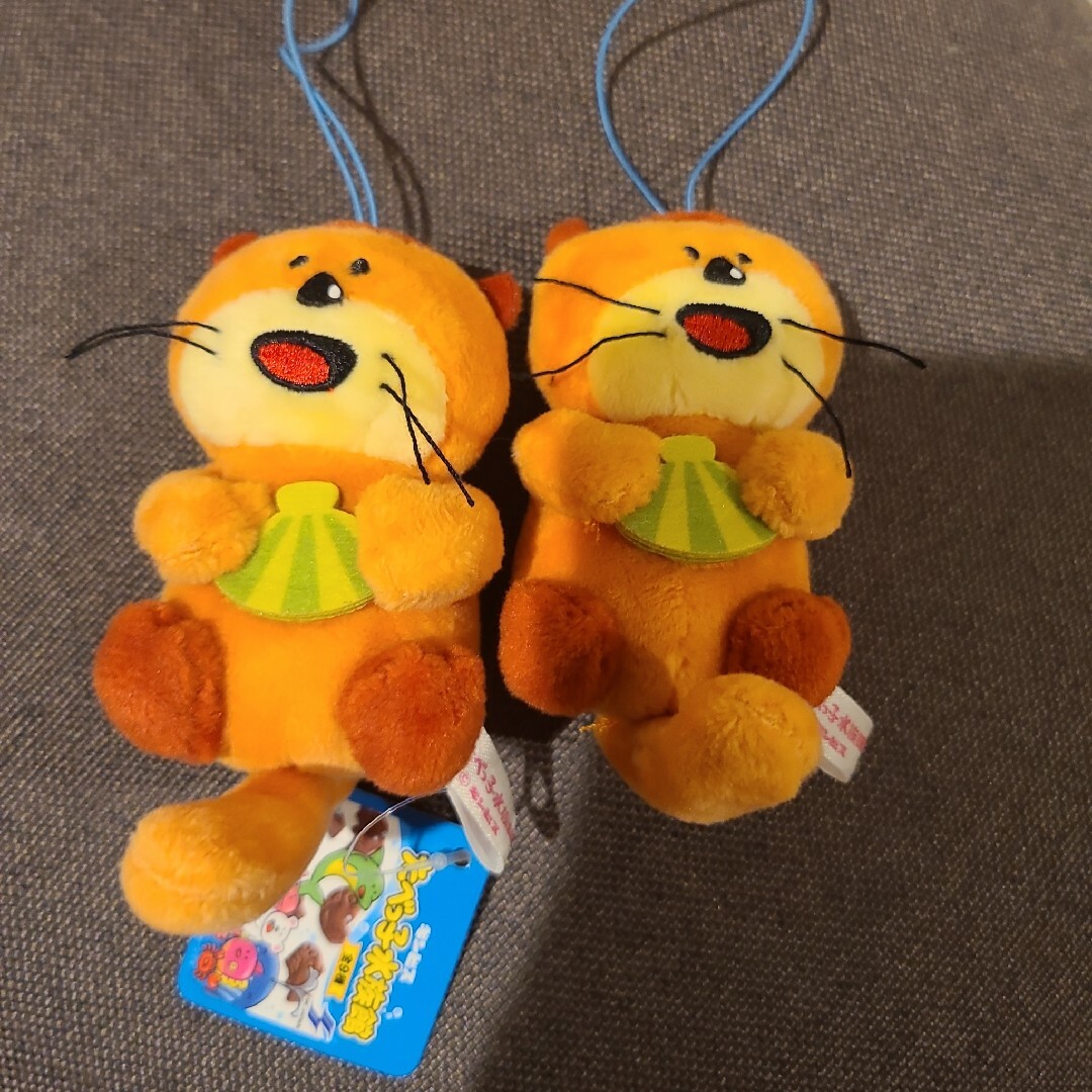 たべっ子水族館 らっこさんセット キッズ/ベビー/マタニティのおもちゃ(ぬいぐるみ/人形)の商品写真