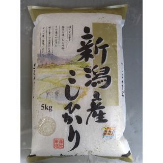 農家直送  新潟県産コシヒカリ白米5㎏(令和5年産)(米/穀物)