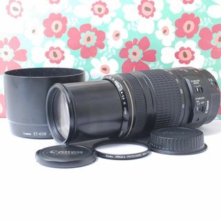 Canon - ❤️キャノン Canon EF70-300mm F4-5.6 IS USM❤