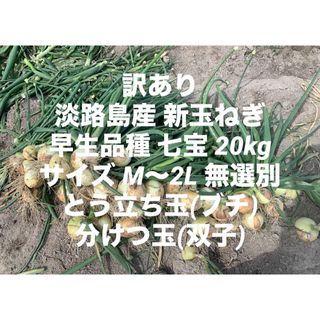 訳あり 淡路島産 新玉ねぎ 早生品種 七宝 20kgサイズM～2L ブチ 双子(野菜)