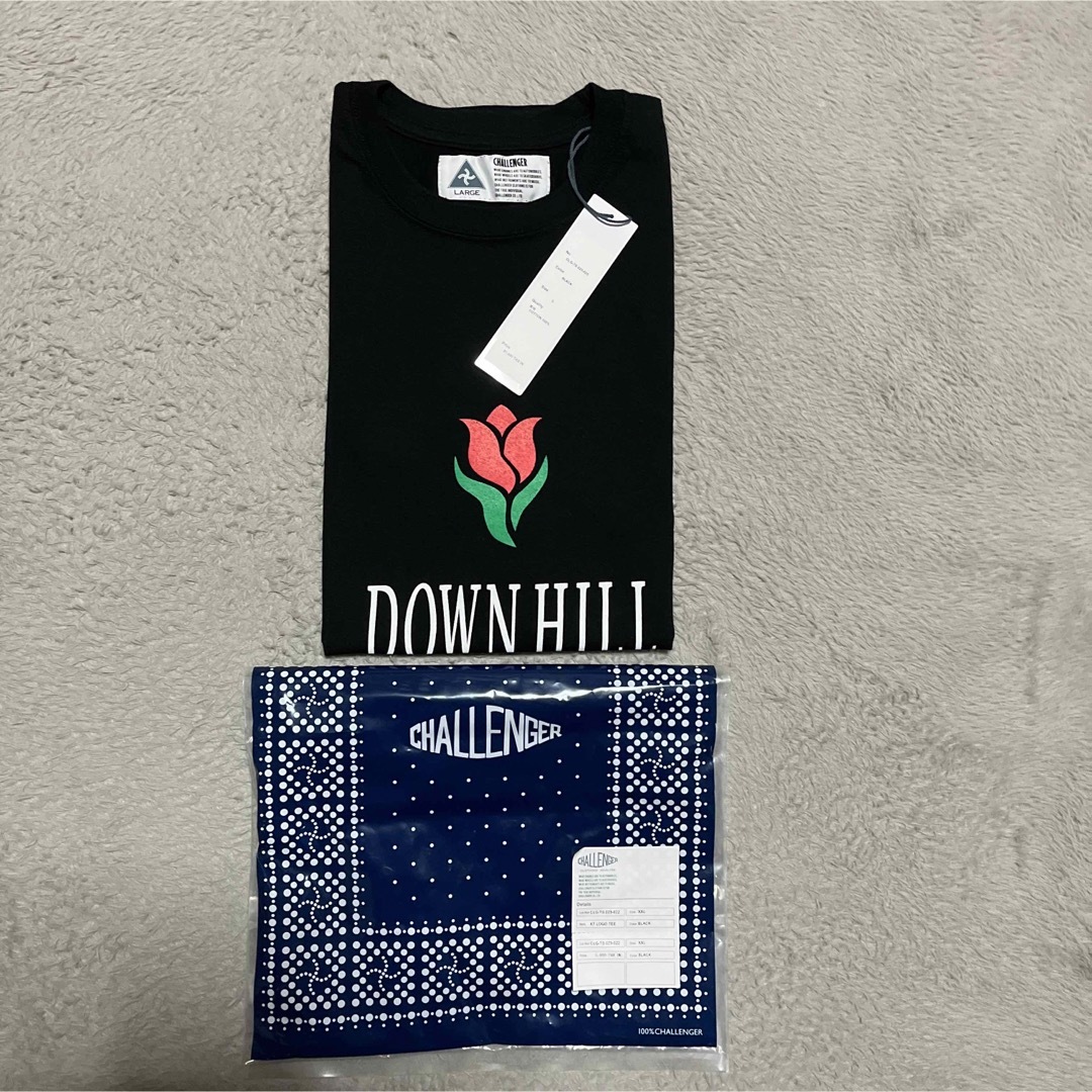 NEIGHBORHOOD(ネイバーフッド)のCHALLENGER DOWN HILL tee tシャツ　東京インディアンズ メンズのトップス(Tシャツ/カットソー(半袖/袖なし))の商品写真