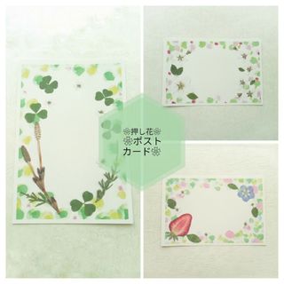 ❀２❀押し花　ポストカード　絵葉書　ネモフィラ　いちご　四葉のクローバー　３枚