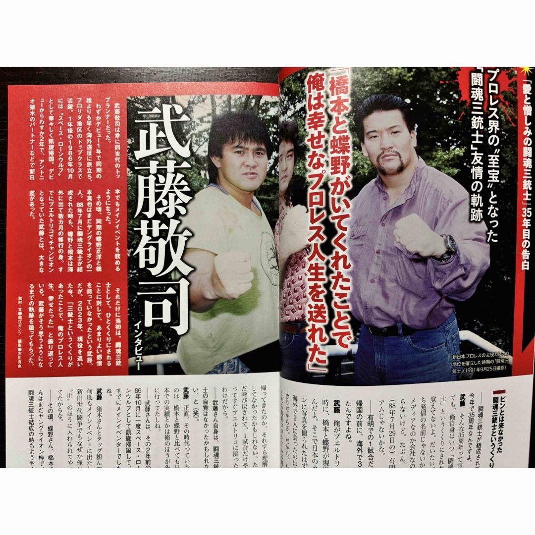 逆説のプロレス vol.23 愛と憎しみの闘魂三銃士 35年目の告白 エンタメ/ホビーの本(趣味/スポーツ/実用)の商品写真