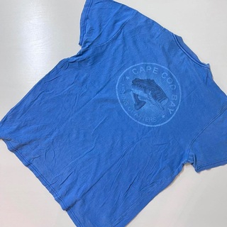 US 輸入　Tシャツ　fish 魚　ブルー　Mサイズ　古着　希少　ヴィンテージ(Tシャツ/カットソー(半袖/袖なし))